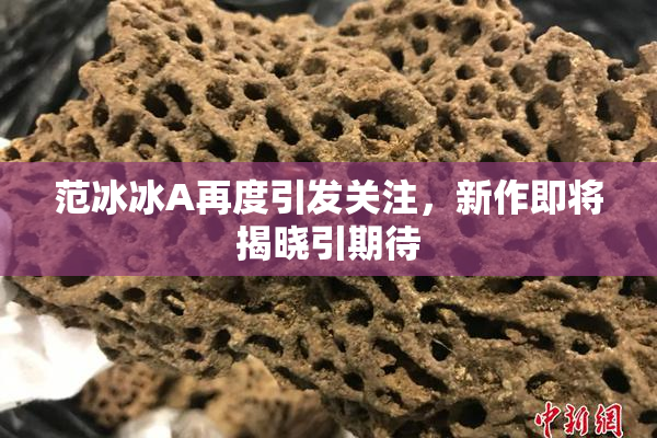 范冰冰A再度引发关注，新作即将揭晓引期待