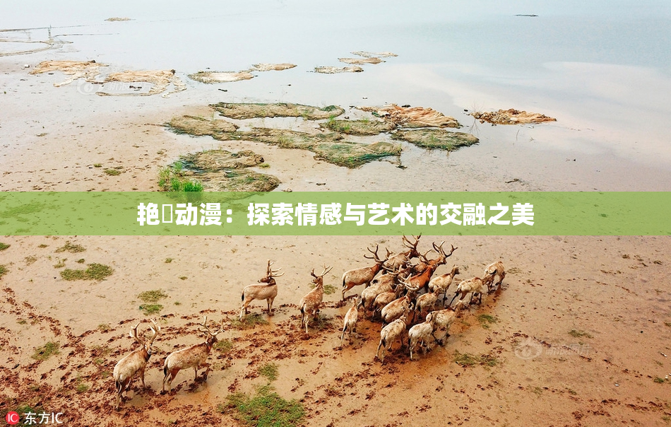 艳鉧动漫：探索情感与艺术的交融之美