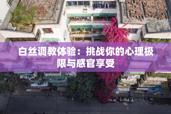 白丝调教体验：挑战你的心理极限与感官享受