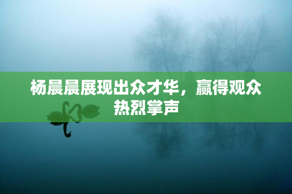 杨晨晨展现出众才华，赢得观众热烈掌声