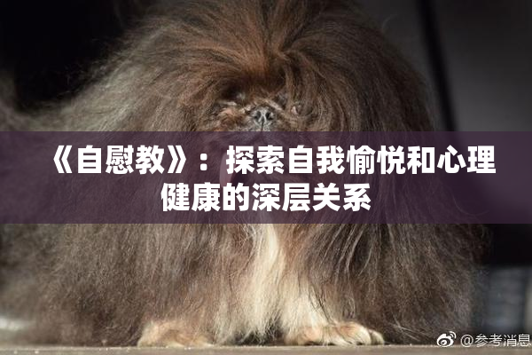 《自慰教》：探索自我愉悦和心理健康的深层关系