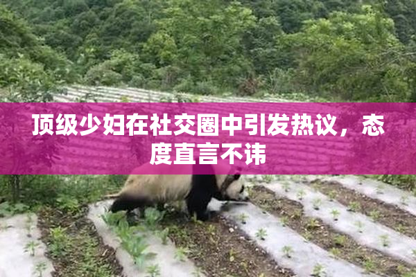 顶级少妇在社交圈中引发热议，态度直言不讳