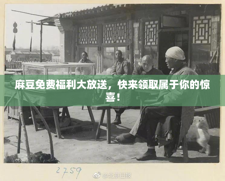 麻豆免费福利大放送，快来领取属于你的惊喜！
