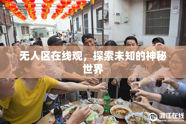 无人区在线观，探索未知的神秘世界