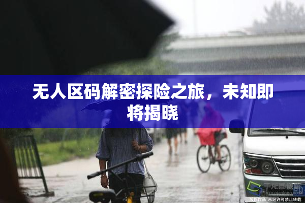 无人区码解密探险之旅，未知即将揭晓