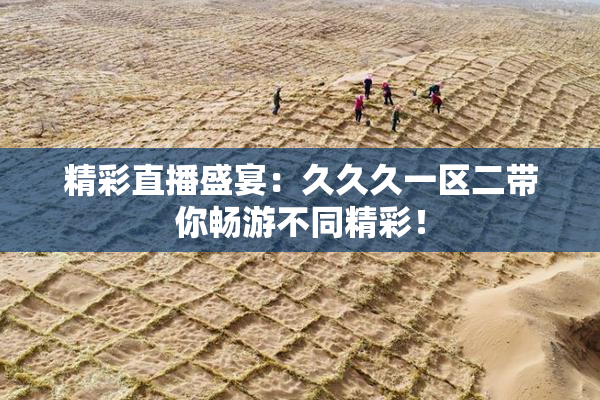 精彩直播盛宴：久久久一区二带你畅游不同精彩！