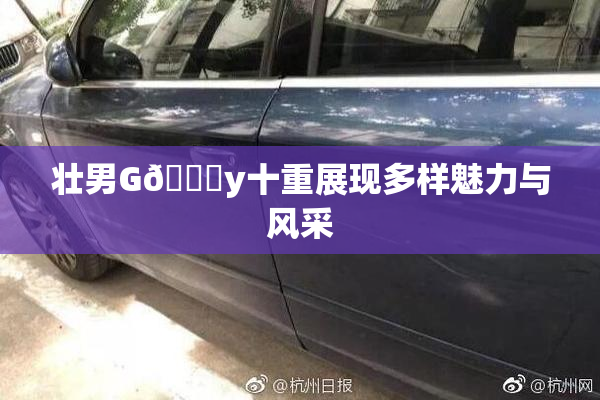 壮男G🈚y十重展现多样魅力与风采
