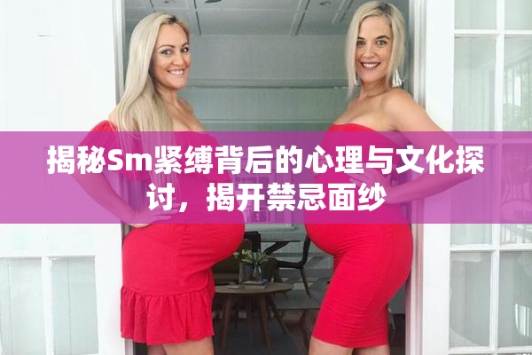 揭秘Sm紧缚背后的心理与文化探讨，揭开禁忌面纱