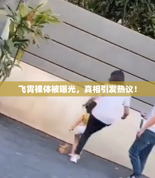飞霄裸体被曝光，真相引发热议！