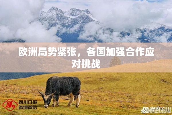 欧洲局势紧张，各国加强合作应对挑战