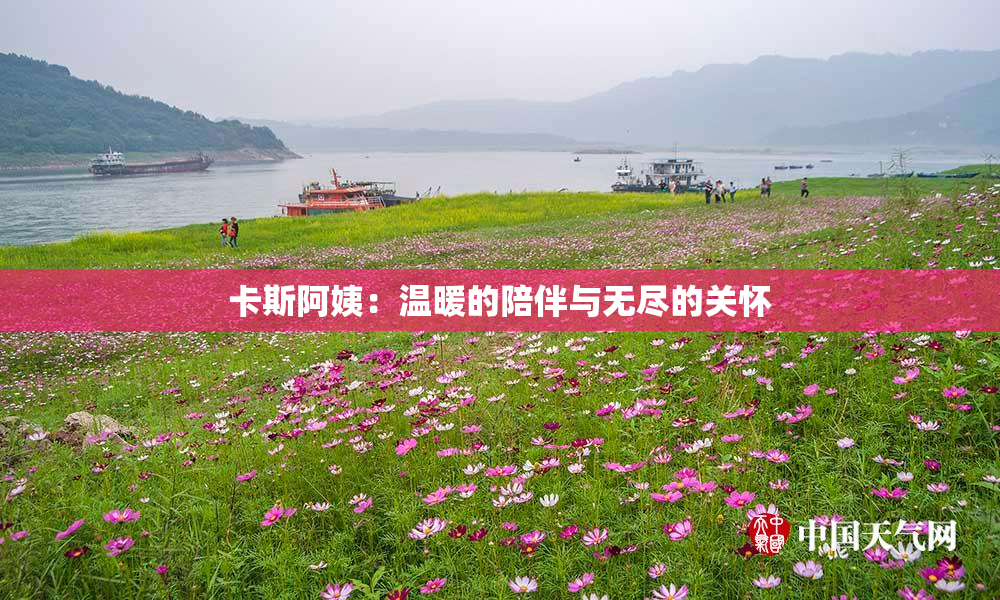 卡斯阿姨：温暖的陪伴与无尽的关怀