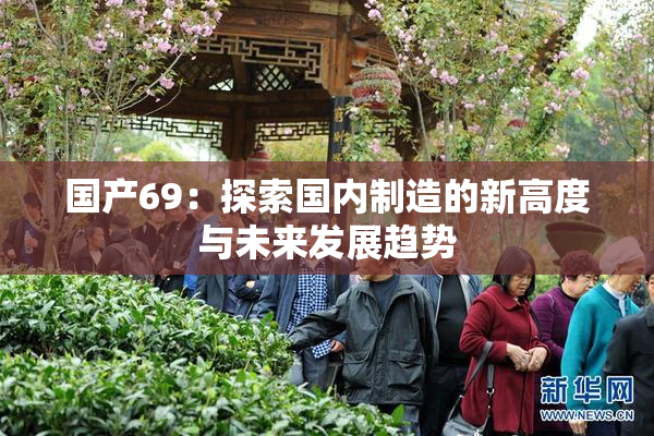 国产69：探索国内制造的新高度与未来发展趋势