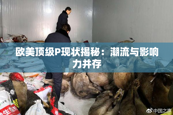 欧美顶级P现状揭秘：潮流与影响力并存