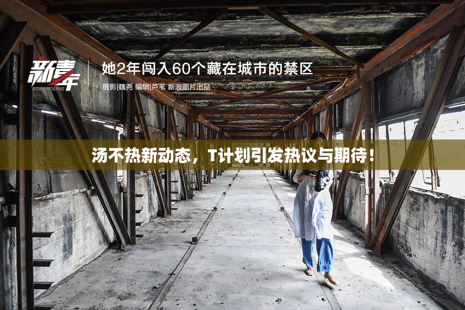 汤不热新动态，T计划引发热议与期待！