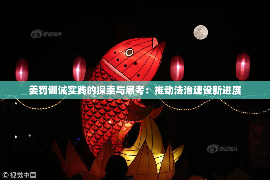 姜罚训诫实践的探索与思考：推动法治建设新进展