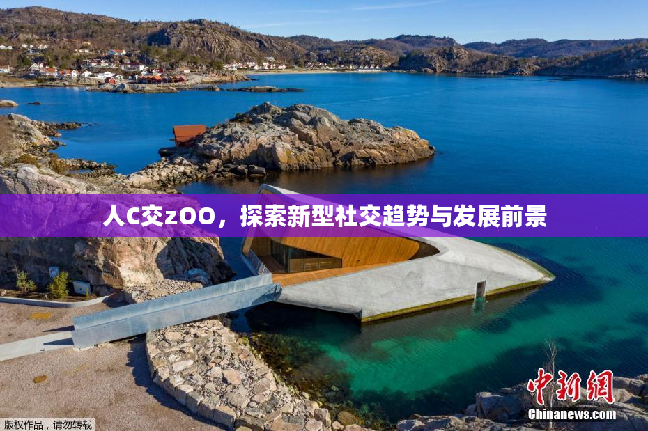 人C交zOO，探索新型社交趋势与发展前景