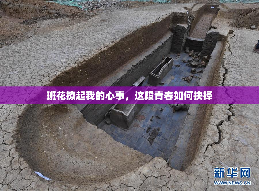 班花撩起我的心事，这段青春如何抉择