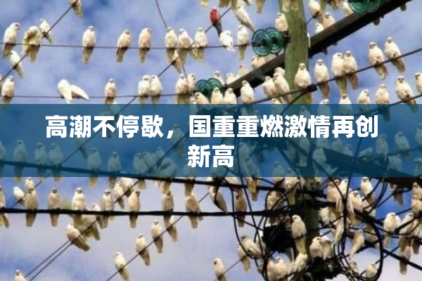 高潮不停歇，国重重燃激情再创新高