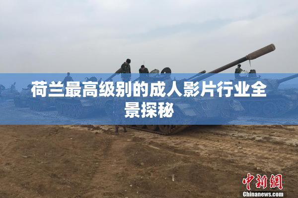 荷兰最高级别的成人影片行业全景探秘