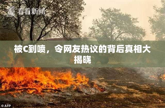被C到喷，令网友热议的背后真相大揭晓