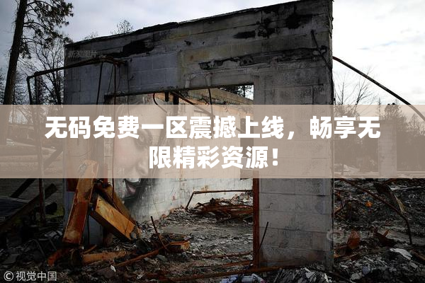 无码免费一区震撼上线，畅享无限精彩资源！