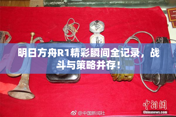 明日方舟R1精彩瞬间全记录，战斗与策略并存！