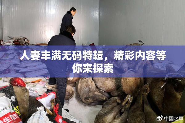 人妻丰满无码特辑，精彩内容等你来探索