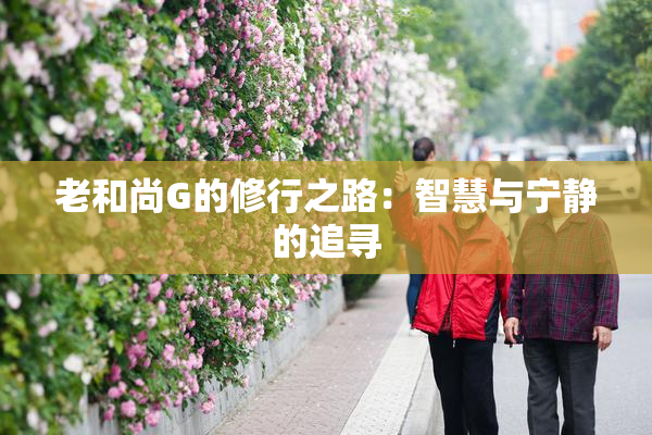 老和尚G的修行之路：智慧与宁静的追寻