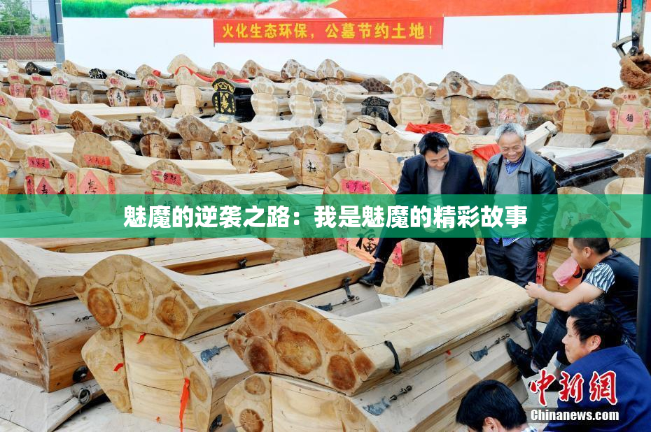 魅魔的逆袭之路：我是魅魔的精彩故事