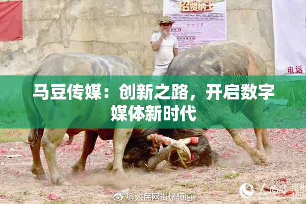 马豆传媒：创新之路，开启数字媒体新时代