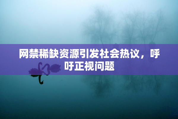 网禁稀缺资源引发社会热议，呼吁正视问题