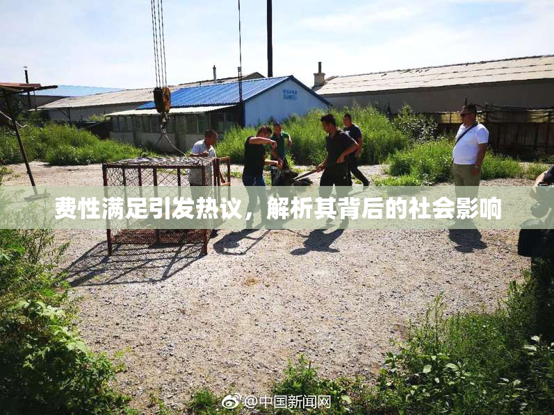 费性满足引发热议，解析其背后的社会影响
