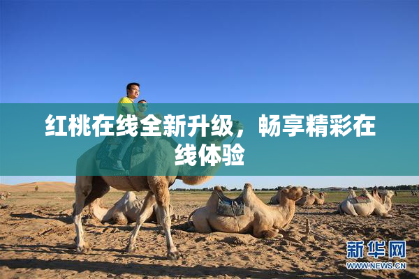 红桃在线全新升级，畅享精彩在线体验
