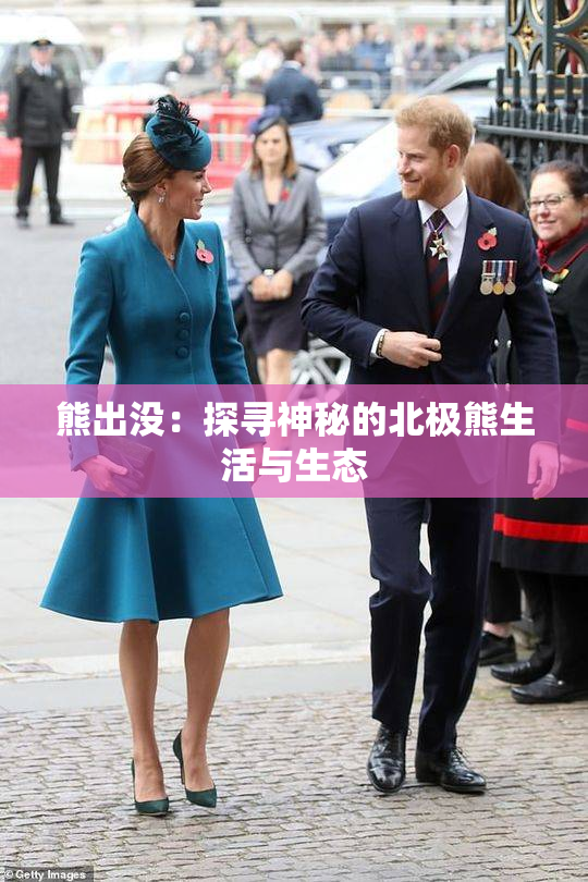 熊出没：探寻神秘的北极熊生活与生态