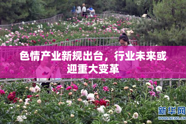 色情产业新规出台，行业未来或迎重大变革