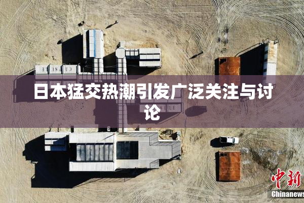 日本猛交热潮引发广泛关注与讨论
