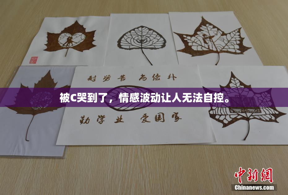 被C哭到了，情感波动让人无法自控。