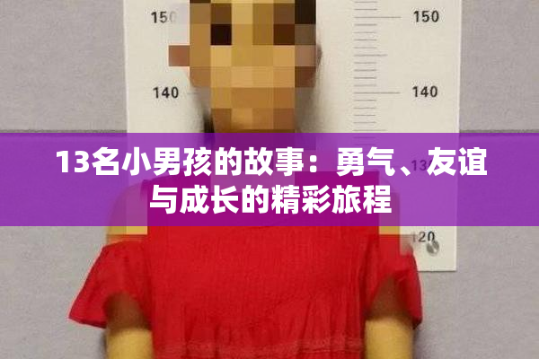 13名小男孩的故事：勇气、友谊与成长的精彩旅程