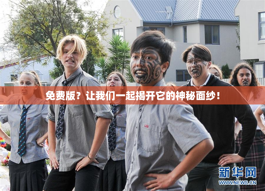 免费版？让我们一起揭开它的神秘面纱！