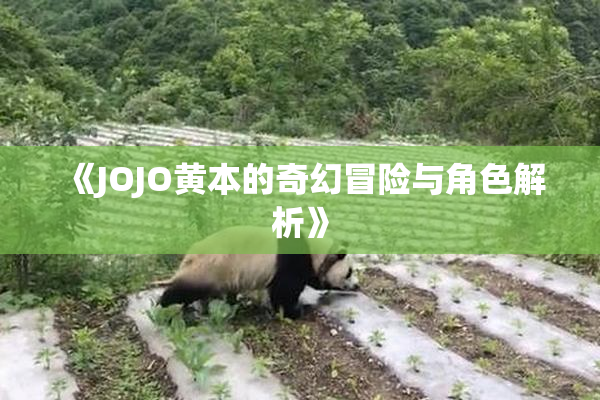 《JOJO黄本的奇幻冒险与角色解析》