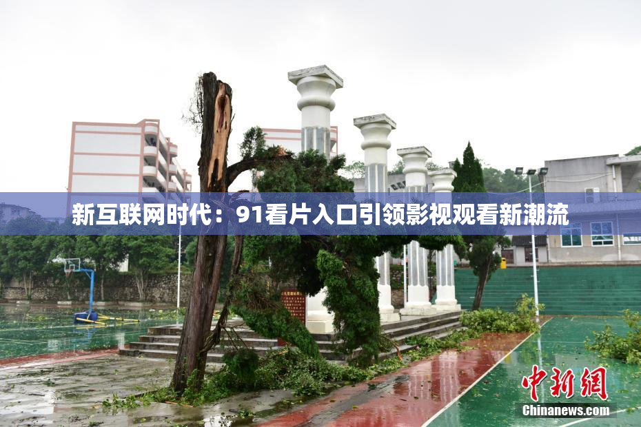 新互联网时代：91看片入口引领影视观看新潮流