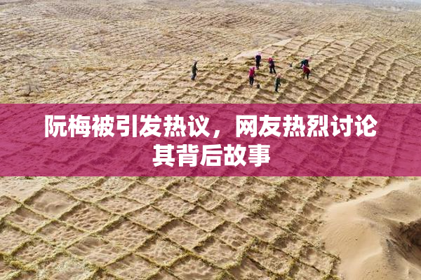 阮梅被引发热议，网友热烈讨论其背后故事