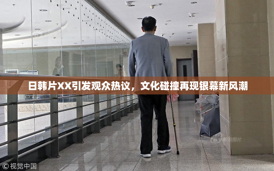 日韩片XX引发观众热议，文化碰撞再现银幕新风潮