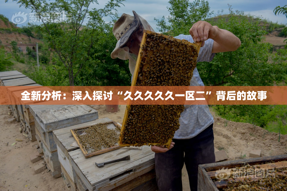 全新分析：深入探讨“久久久久久一区二”背后的故事