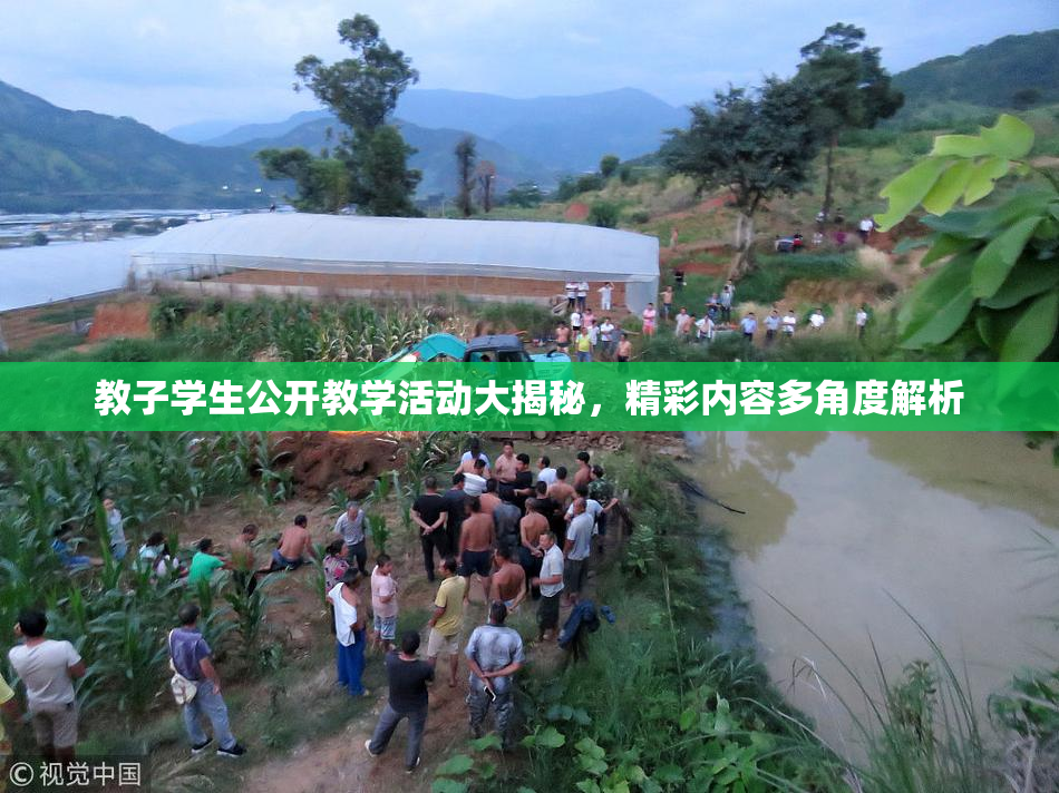 教子学生公开教学活动大揭秘，精彩内容多角度解析