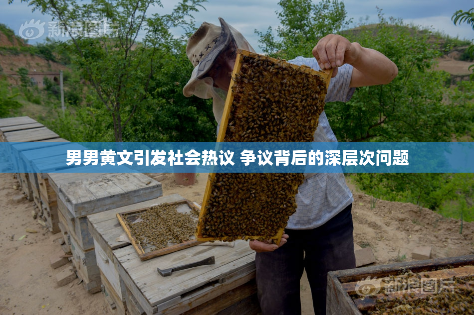 男男黄文引发社会热议 争议背后的深层次问题