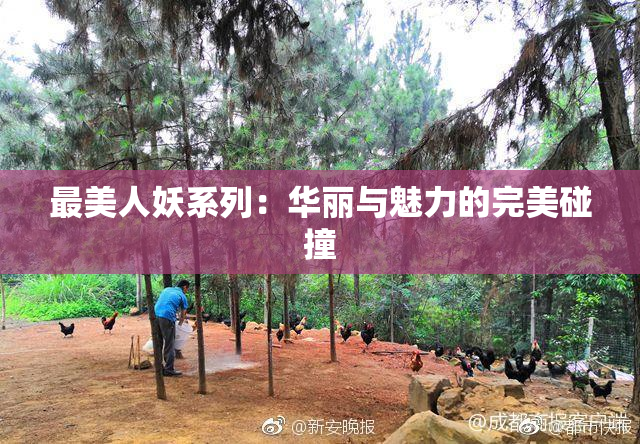 最美人妖系列：华丽与魅力的完美碰撞