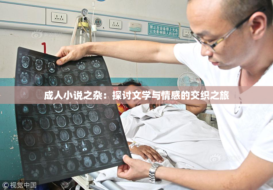成人小说之杂：探讨文学与情感的交织之旅