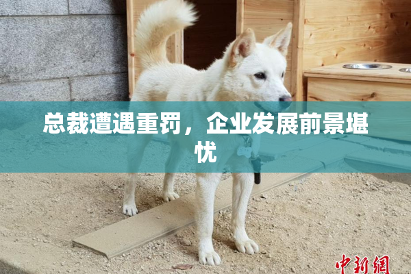 总裁遭遇重罚，企业发展前景堪忧