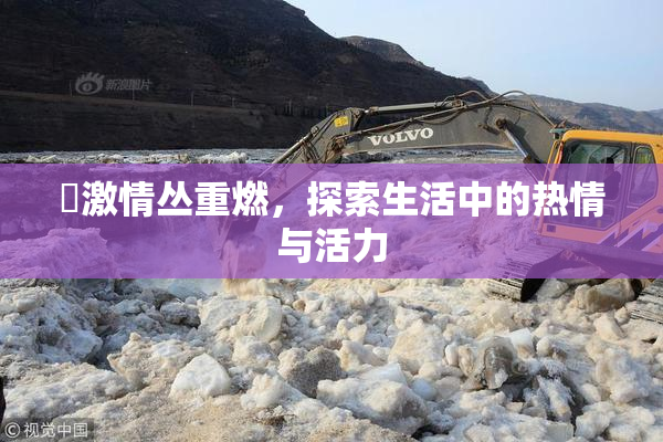 巜激情丛重燃，探索生活中的热情与活力